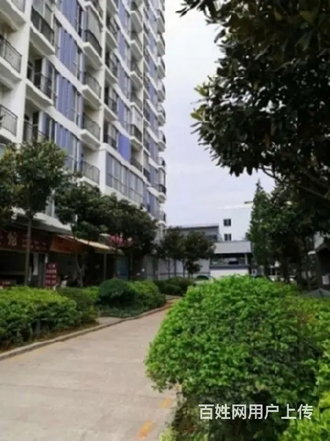 押一付三）富康城 精装3室2卫 拎包入住 采光充足 - 图片 12