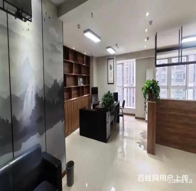 骨折价！泉舜186精装240平280平500平 多种面积可选 - 图片 6