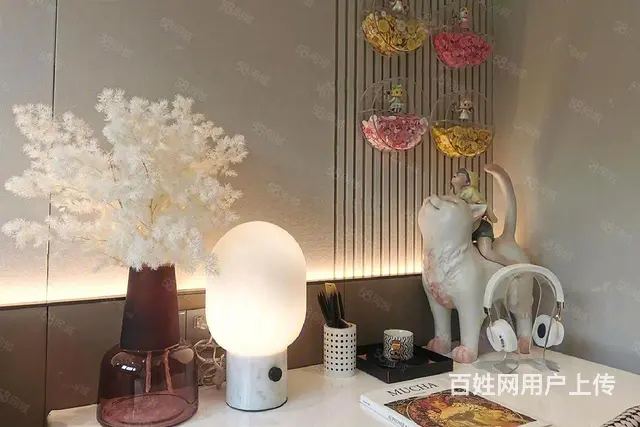 享受员工价，只有4套！只有4套！先到先得 - 图片 4
