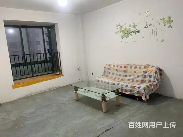 家有毛坯电梯房出租 - 图片 4