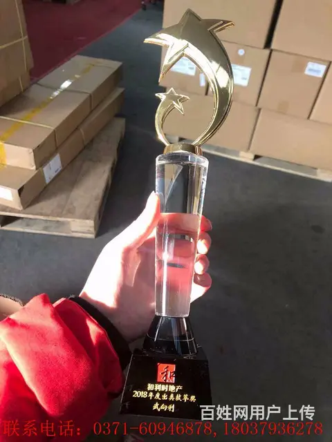 三门峡奖杯奖牌设计定做，奖杯销售中心 - 图片 1