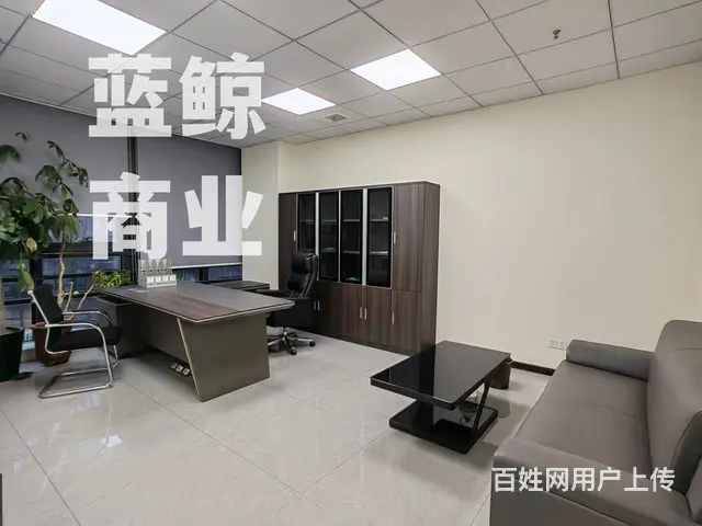 绿地商务城蓝海230平纯办公欢迎看房 - 图片 7