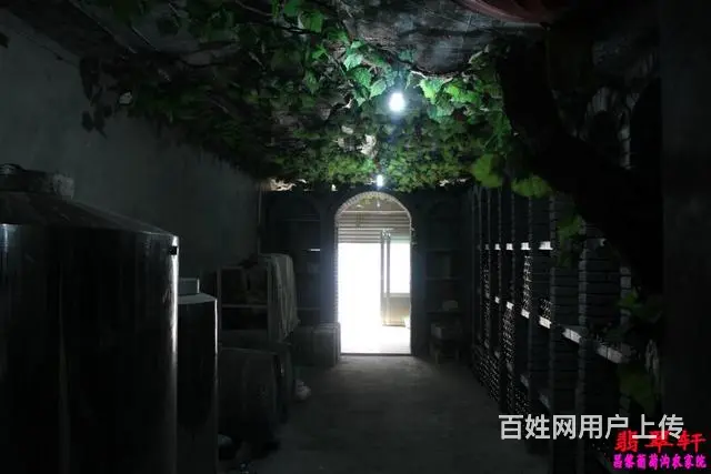 昌黎葡萄沟农家院，昌黎葡萄沟翡翠轩，昌黎海边农家院 - 图片 2