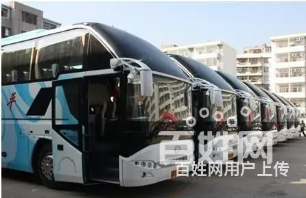 常州宠物托运怎么收费/宠物专车上门接送 - 图片 6