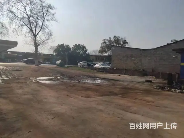 （老板本人）开福区捞刀河中青路附近独门独院场地出租 6594 - 图片 2