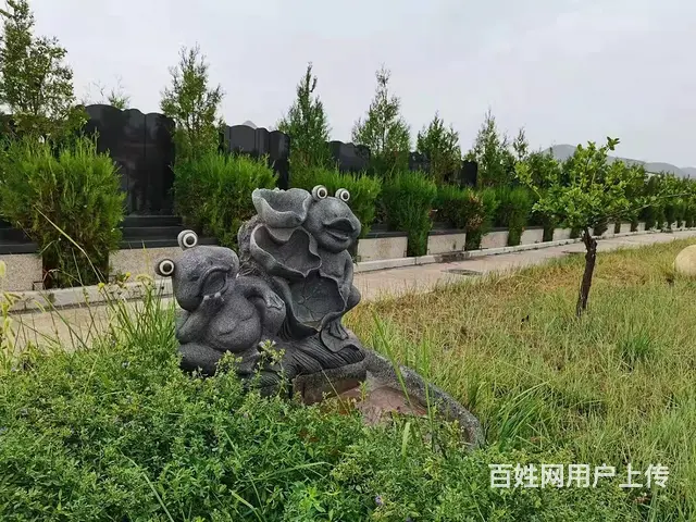 兰州卧龙岗公墓区石材是大理石材料 - 图片