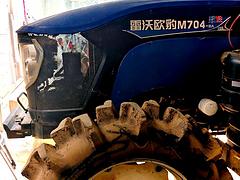 个人车福田欧豹