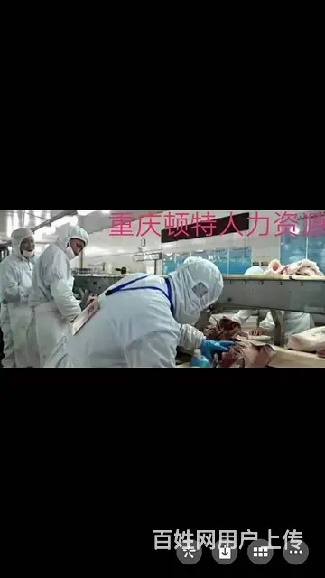 爱尔兰急招剔骨工易上手工资高 - 图片 4