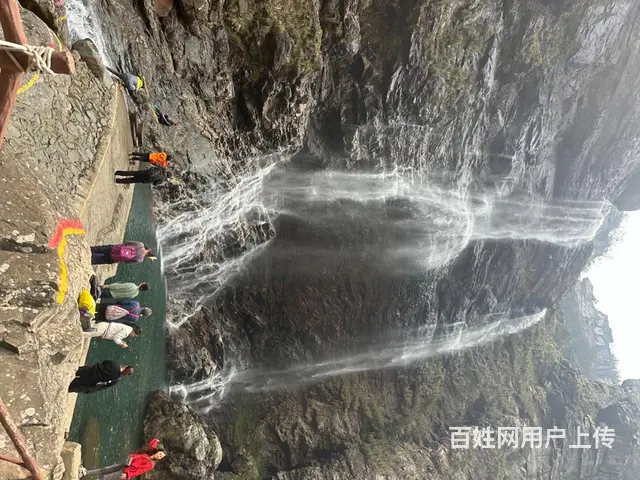 征婚 - 图片