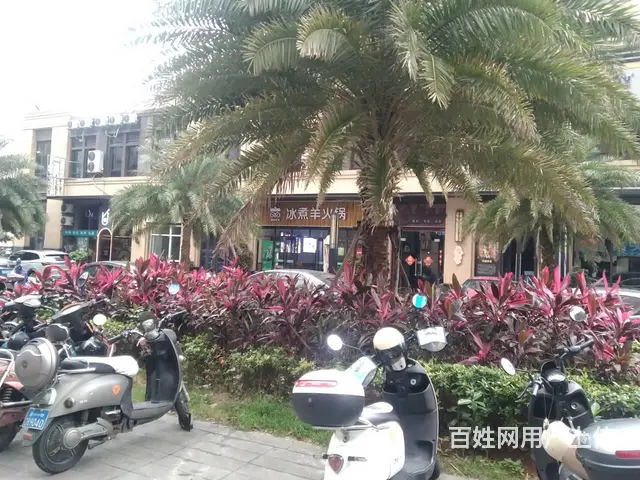 （51旺铺推荐）龙华区绿地海德公馆100平旺铺出租 - 图片 6