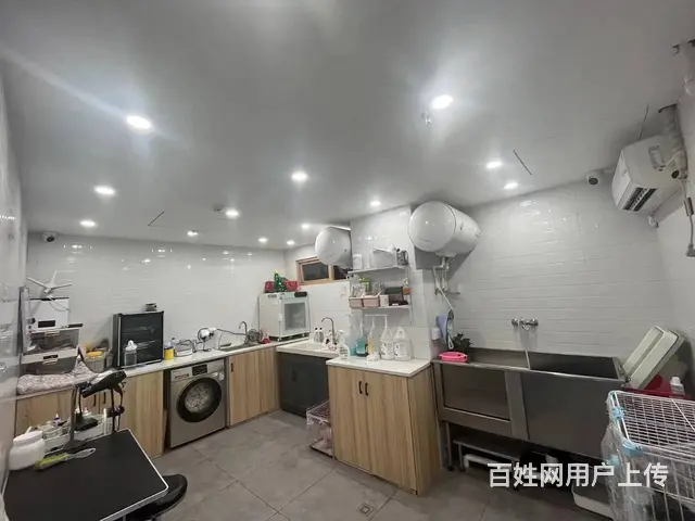 下城东新银泰商圈自带引流有固定群体宠物店转让 - 图片 7