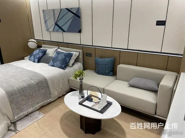 朝阳朗诗旁！实际总价30万一套！买弘阳天下锦公寓 天宁丽华 - 图片 4