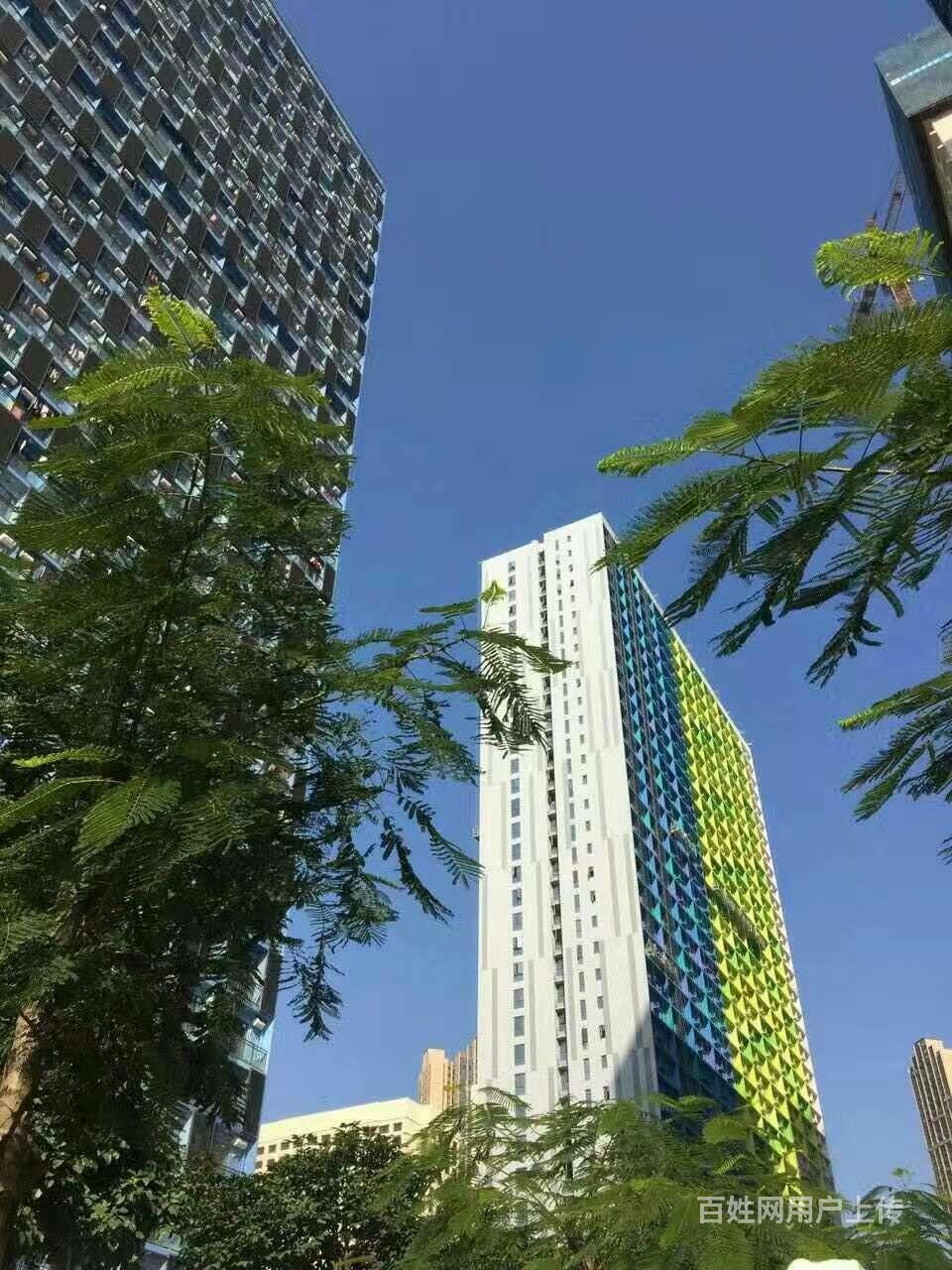 万科金色领域有产权精装公寓广佛线蕾岗站首付18万