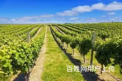 香港急招焊工5名，月薪保底28000包吃住 - 图片 2