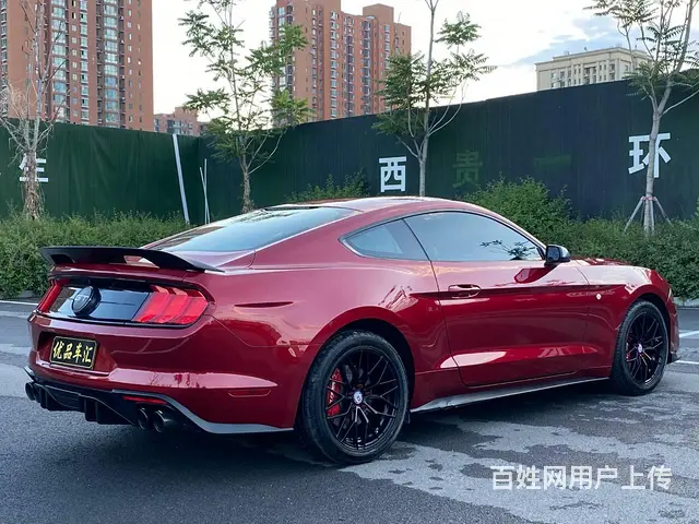 福特Mustang [野马] 2019款 2.3T 手自一体 - 图片 5