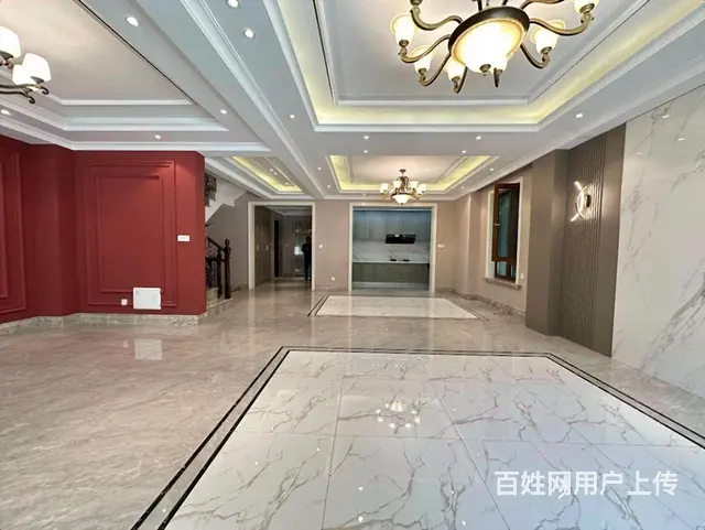 捡漏外滩   1带2层 下叠 共四层 带车位 赠花园 - 图片 3