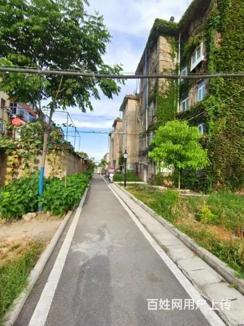 淮南市潘集区，翠竹村，2室1厅58平米，2.8万 - 图片 2