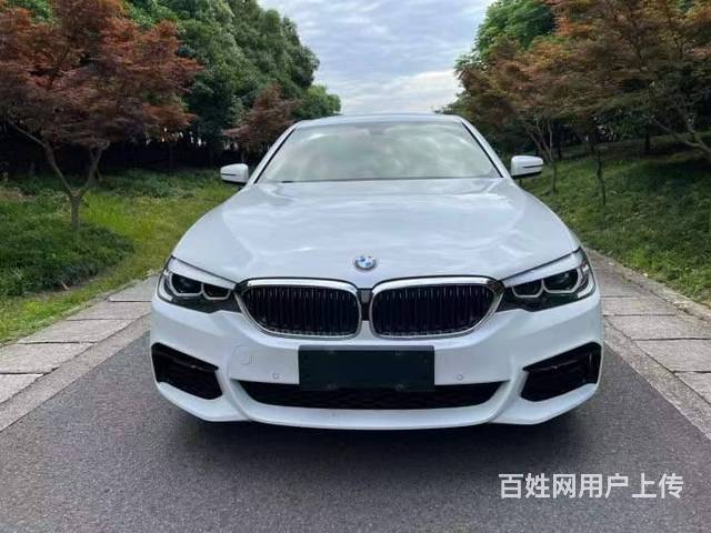 宝马5系 2019款 525Li 2.0T 手自一体 豪华套的图片