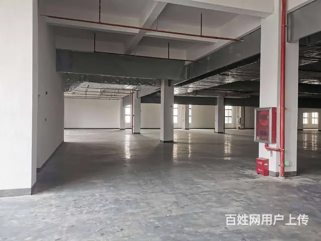 尚湖鸳鸯桥标准厂房10500平，宿舍配套，适合各种行业，分租 - 图片 2