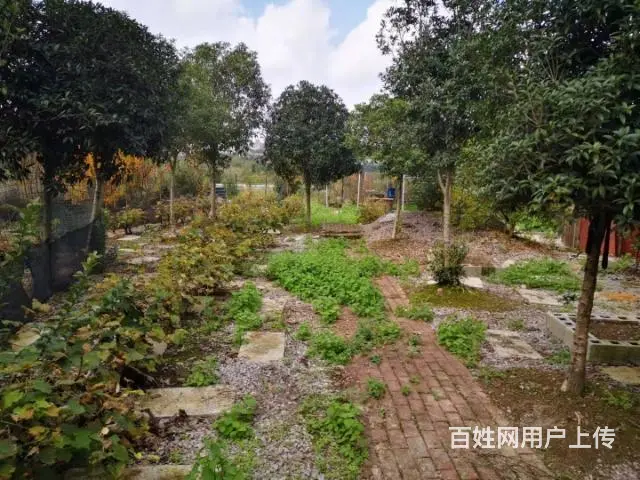 毗邻水库五亩庄园出租 - 图片 9
