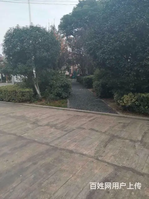 长江通道旁泰兴江东府湿地公园，单价六千五到七千，户 - 图片 10