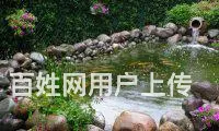 昆明专业鱼缸清洗，鱼缸修复，鱼缸定制，鱼缸搬家 - 图片 3