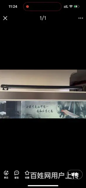 出售高端灯架 - 图片 2