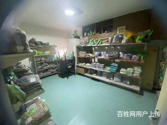 7841（七P）个人城中区南京路临街铺面出租 - 图片 12