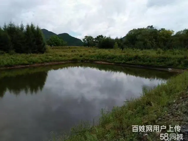 阿城山河屯厂房办公楼出售 - 图片 6