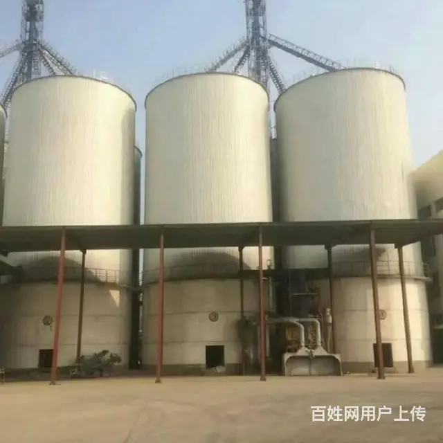 500吨粮食钢板仓,贵州4000吨粮食钢板仓 - 图片 2