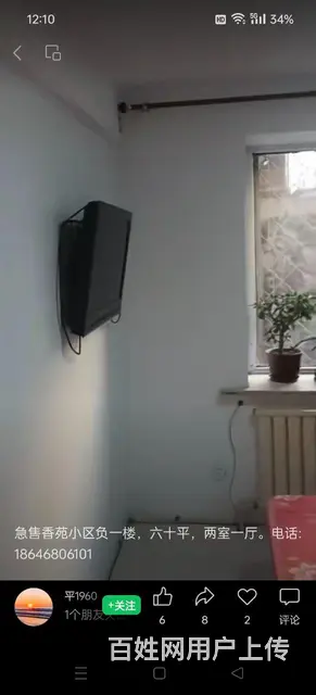 房屋出租 - 图片
