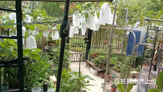 田林苑 普通住宅 精装修 - 图片 2