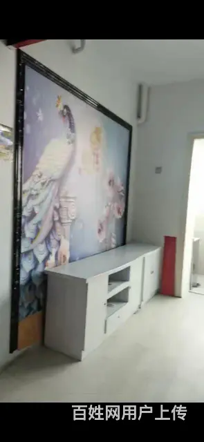 出租九洲兴建小区楼房 - 图片 2