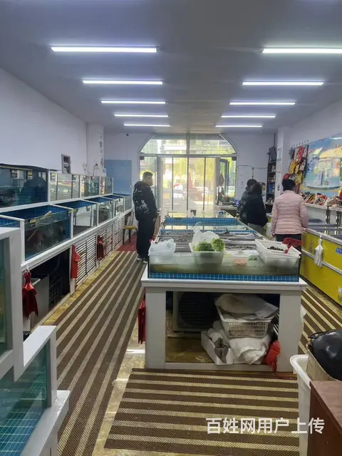 【搞定了！】道里群力第五大道小区门口海鲜店出兑 - 图片 4