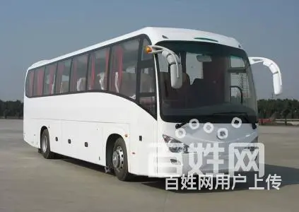 溧阳宠物托运至全国各市县直达客车 - 图片 9