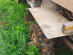 多缸四不像
