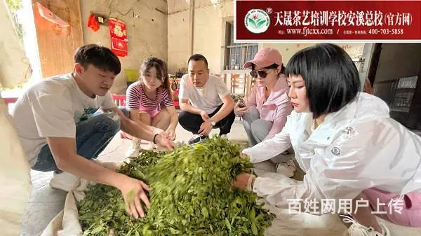 学茶艺培训去哪学?10月11日天晟中国茶学系统培训 - 图片 9