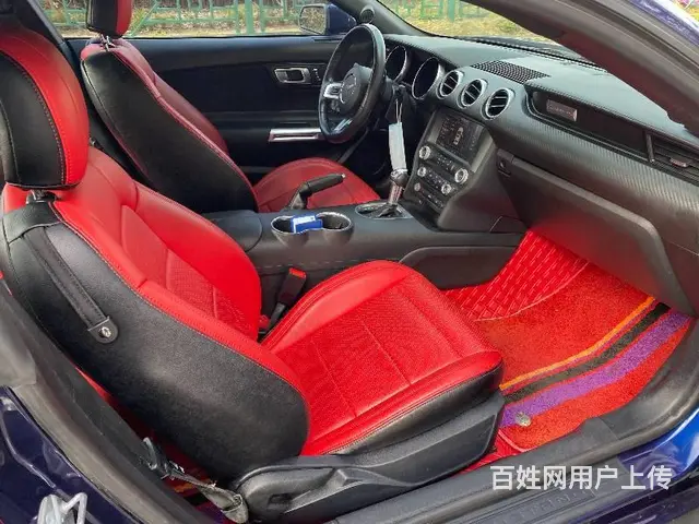 福特Mustang [野马] 2018款 2.3T 手自一体 - 图片 7