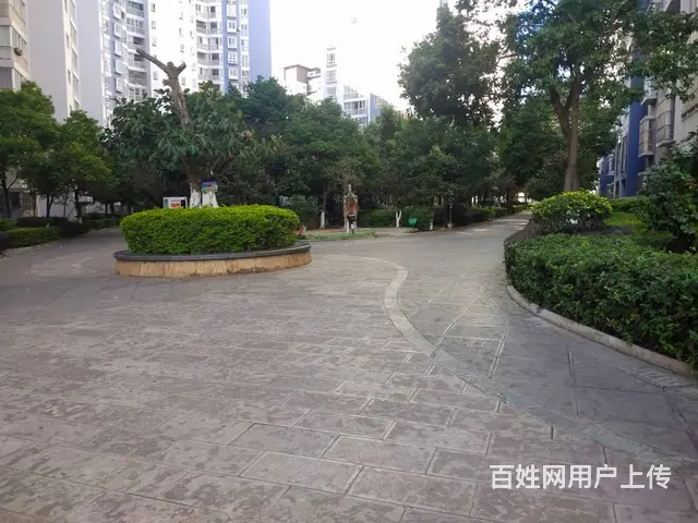 盛世庭园 精装4居室满5唯一看房方便 - 图片 4