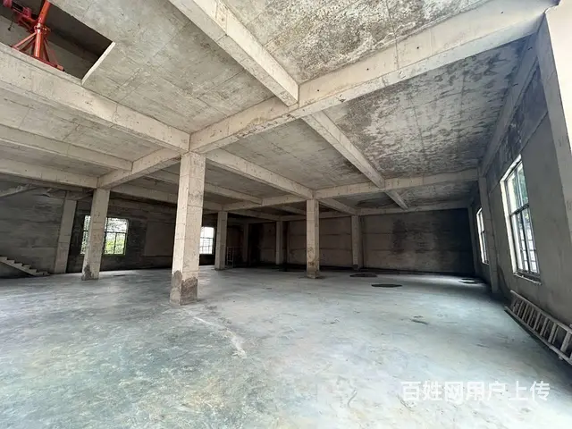 （老板本人）黄兴镇独门独院全新厂房/仓库出租 6511 - 图片 5