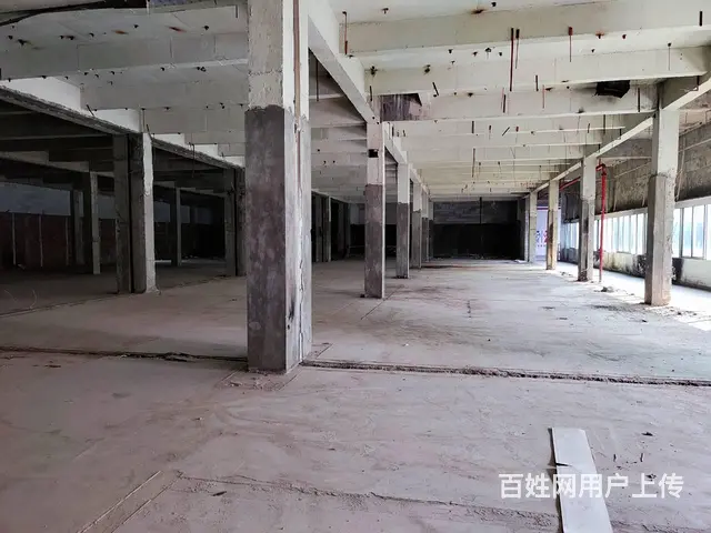 珠海金嘉创意谷旁 200-3000㎡运动场馆 25元起 - 图片 5