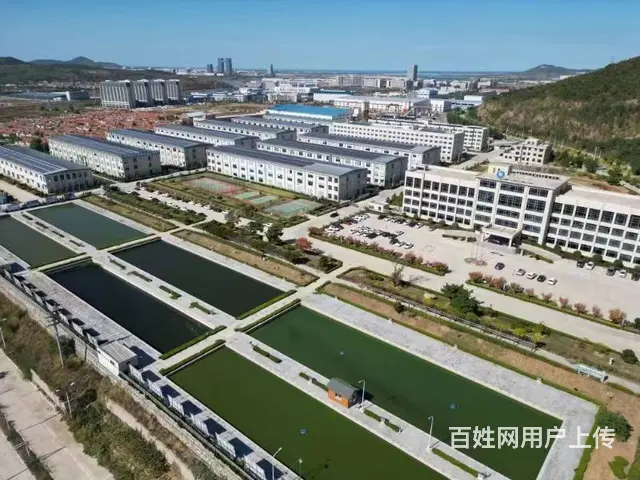【创美】 羊亭灶台路宝飞龙工业园厂房出租，可以分租 - 图片 3