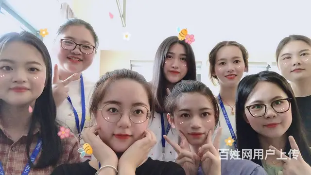 专业整理旧账，审计报告欢迎咨询 - 图片