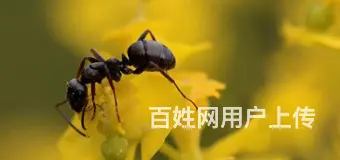 娄底到长沙拼车黑车商务车电话 - 图片