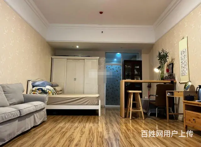 南江商业中心房屋出租（本人房东） - 图片 3