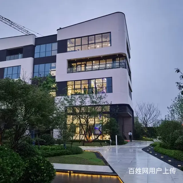 大蜀山旁 长江西路地铁口 四层独栋总部 办公楼宇  高赠送 - 图片 5