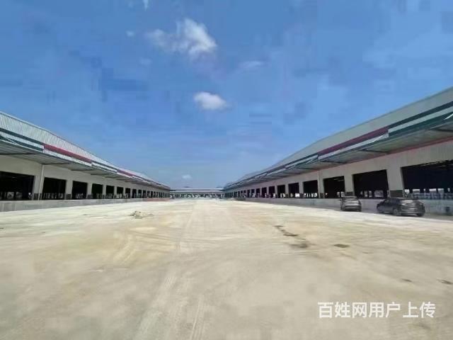 中山市标准平仓物流园厂房出租大小可分租地理位置优越