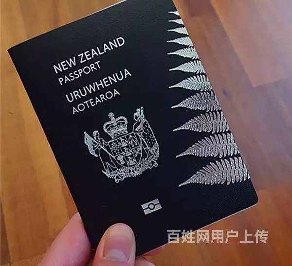 郑州管城西班牙护照翻译专业公司