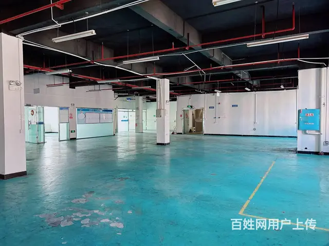 (老板本人）星沙标准园区精装修厂房办公楼出租  5572 - 图片 9
