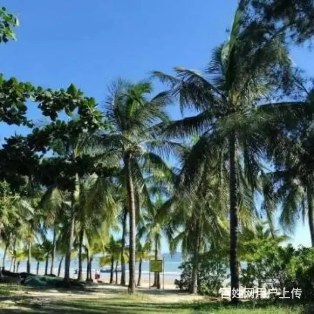 找搭子 - 图片